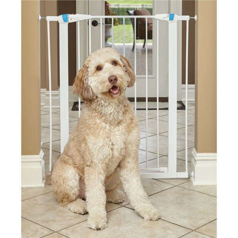 Midwest GLOW White Steel Pet Gatel