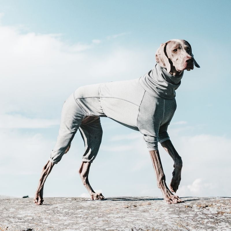 Hurtta Carbon Grey Dog Body Warmer