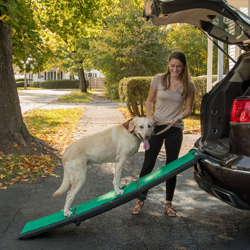 Pet Gear Tri Fold Travel Lite Ramp with Supertrax