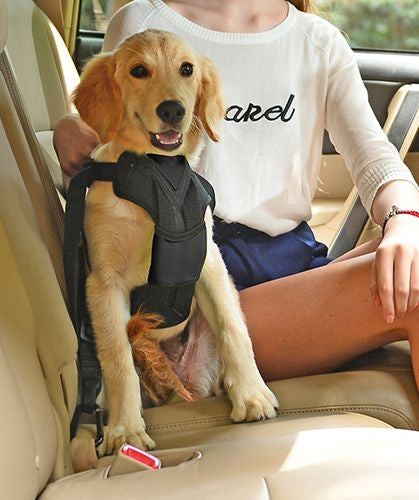 Pet Life Road-To-Safety Dog Car Harness
