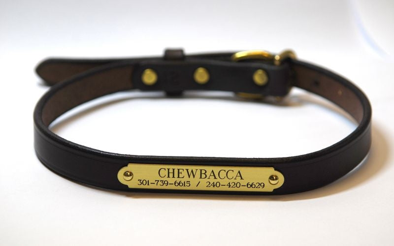 Personalized Mahogany Dog Collar with Brass