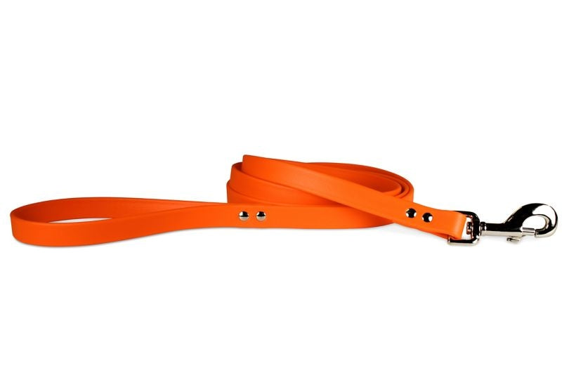 Zeta Dog Lead 6ft x 3/4in
