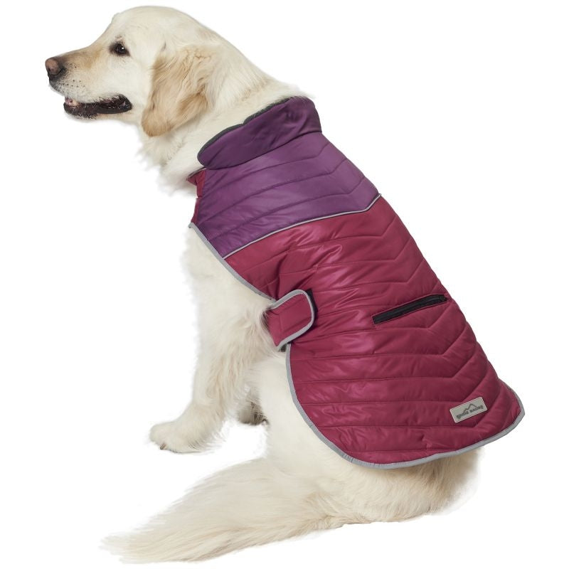 Petrageous Snowfield Dog Vest