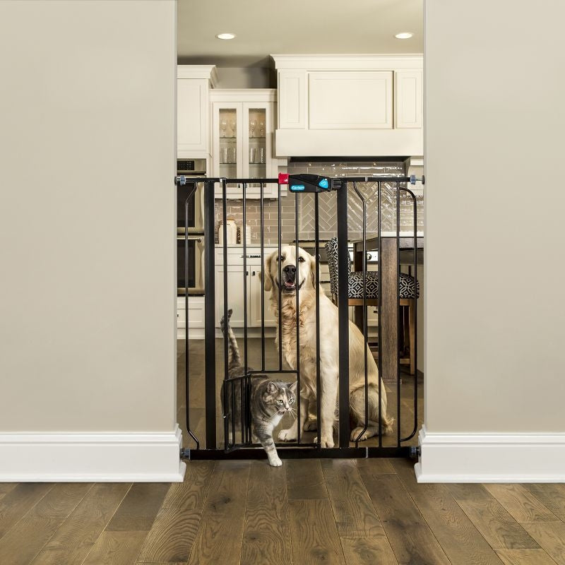 Carlson Pet Black Extra Tall Gate with Pet Door