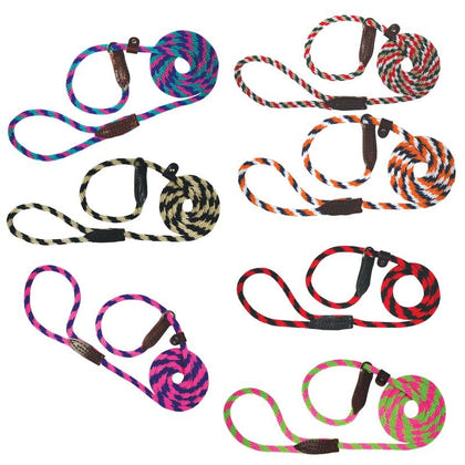 Slip Lead for Dogs