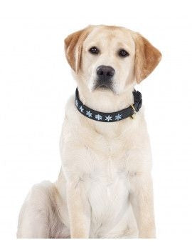 Halo Snowflake Leather Dog Collar