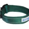 Baydog Tampa Dog Collar