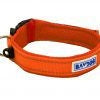 Baydog Tampa Dog Collar