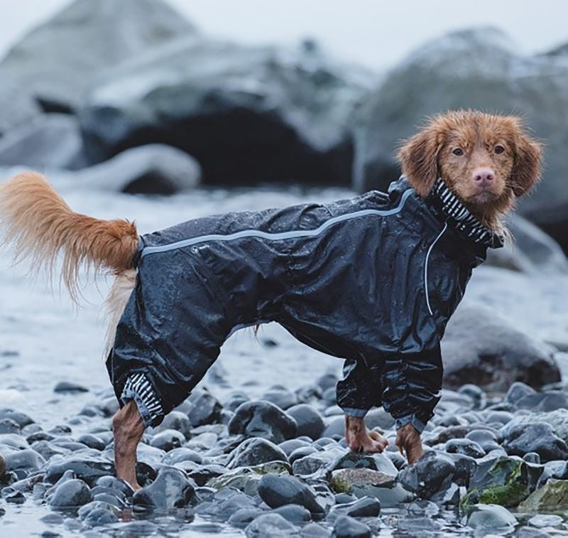 Hurtta Raven Downpour Dog Suit