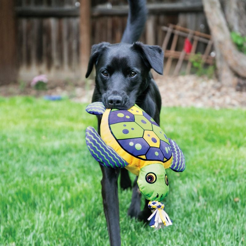 KONG Aloha Dog Toy