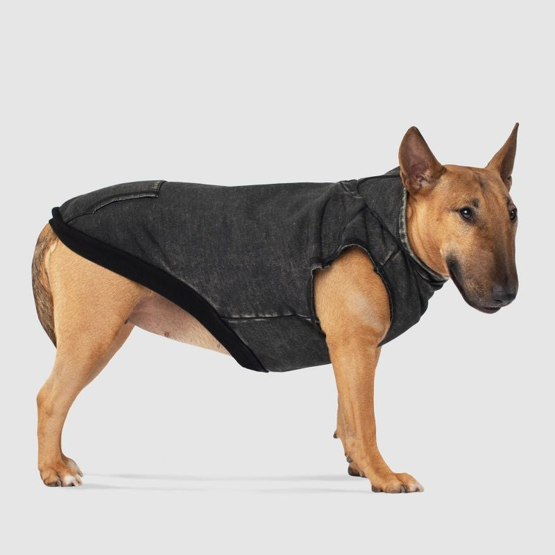 Canada Pooch Grey No Authority Dog Hoodie