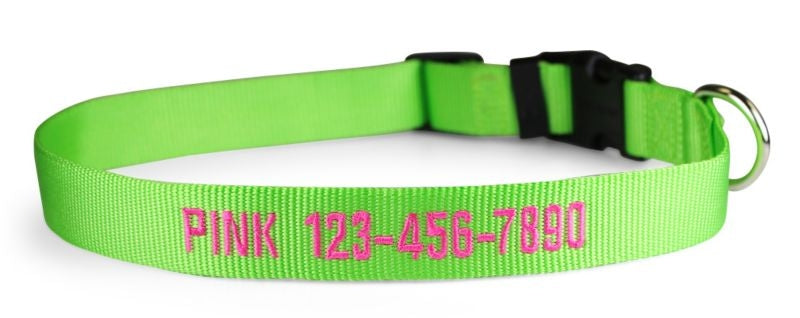 Personalized Lime Zest Nylon Dog Collar