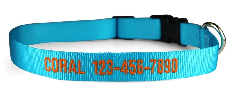 Personalized Sunny Blue Nylon Dog Collar