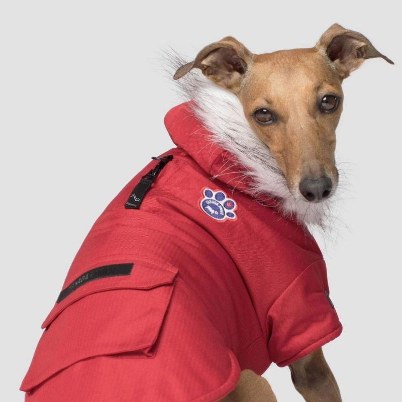 Canada Pooch Winter Wilderness Red Dog Parka