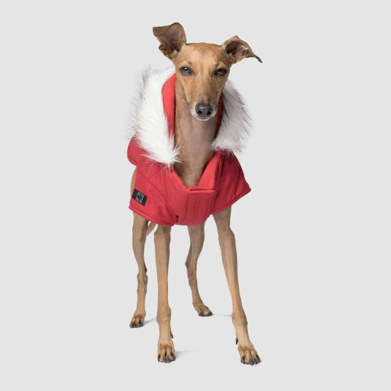 Canada Pooch Winter Wilderness Red Dog Parka