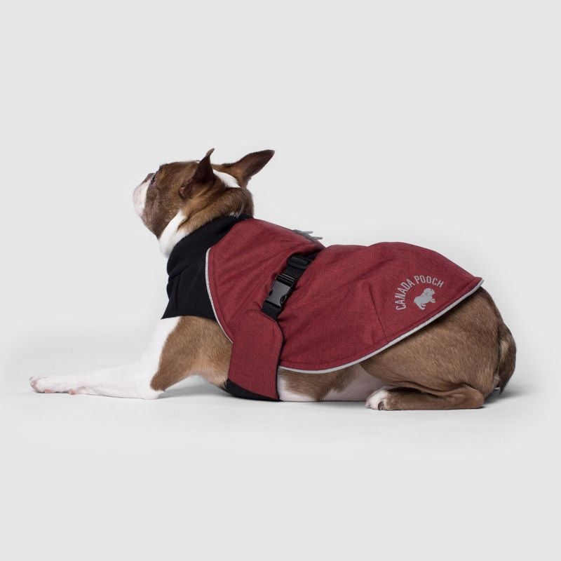 Canada Pooch The Expedition Dog Coat