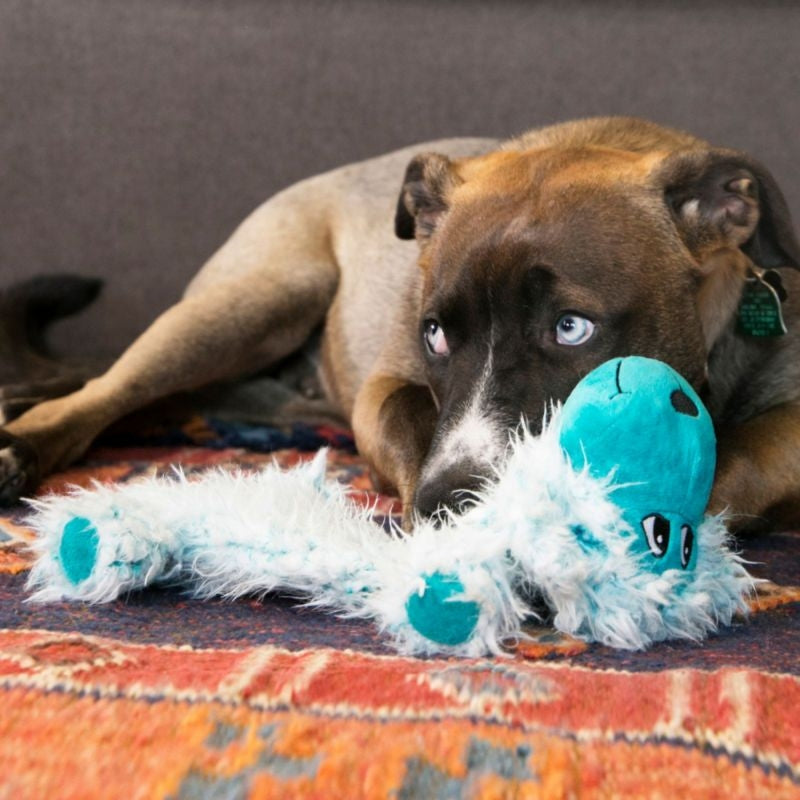 KONG Low Stuff Scruffs Large Dog Toy