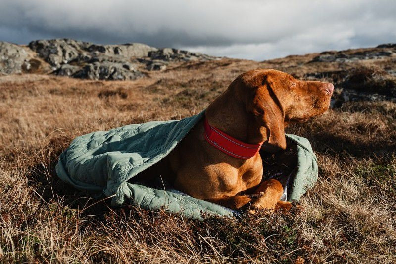 Hurtta Hedge Outback Dreamer ECO Dog Bed