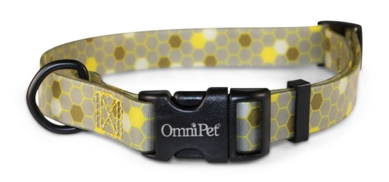 Attitudz Honeycomb Waterproof Dog Collar