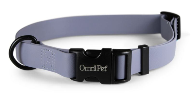 Carnival Waterproof Dog Collar