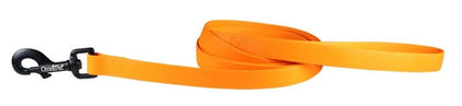 Carnival Waterproof 6ft Dog Leash