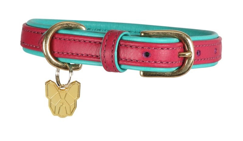 Shires Digby Fox Padded Leather Dog Collar