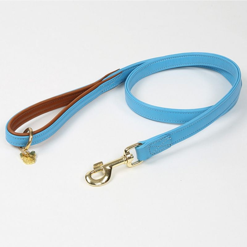 Digby and Fox Padded Leather Dog Lead