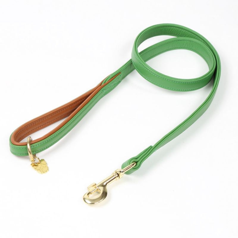Digby and Fox Padded Leather Dog Lead