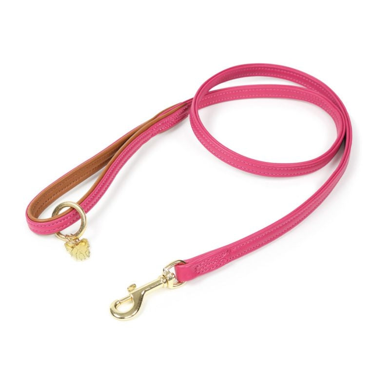 Digby and Fox Padded Leather Dog Lead
