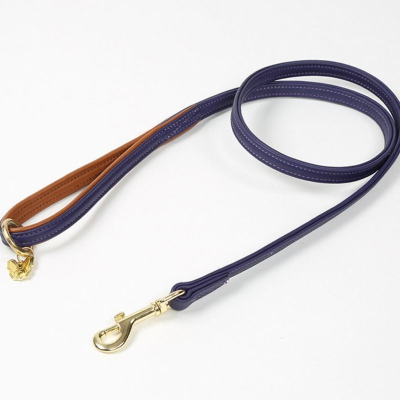 Digby and Fox Padded Leather Dog Lead