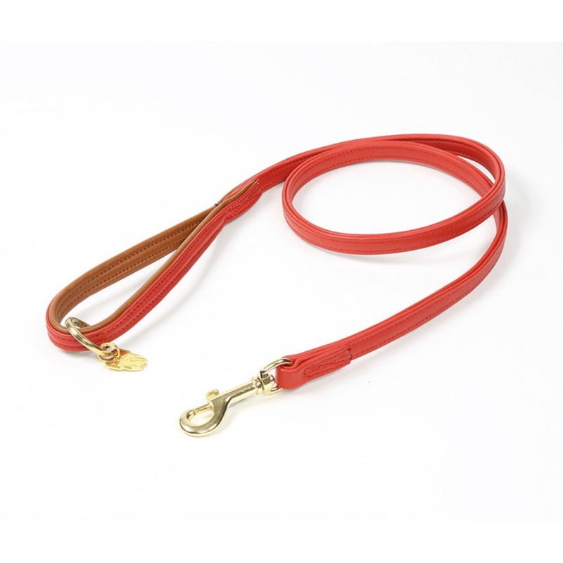 Digby and Fox Padded Leather Dog Lead
