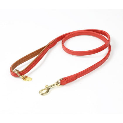 Digby and Fox Padded Leather Dog Lead