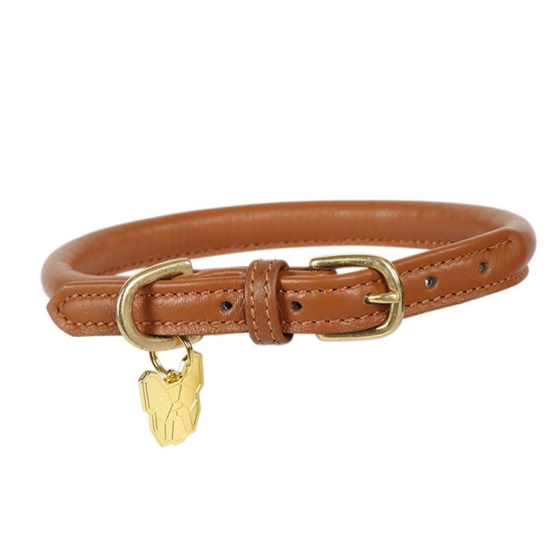 Shires Digby Fox Rolled Leather Dog Collar