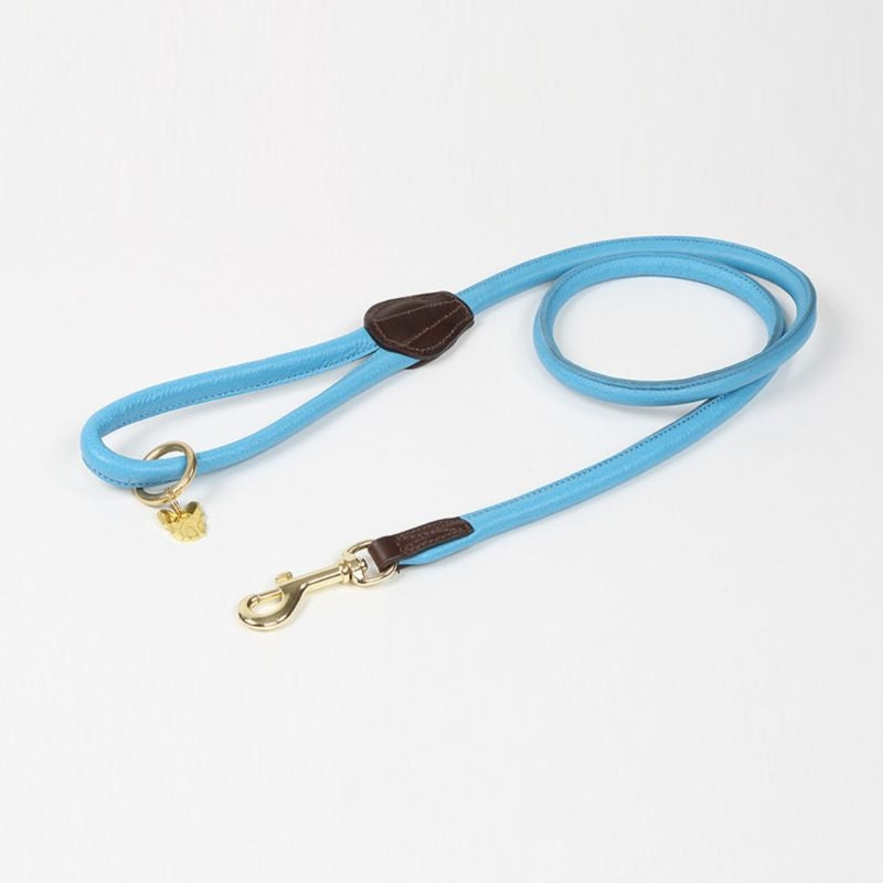 Shires Digby/Fox Rolled Leather Dog Lead