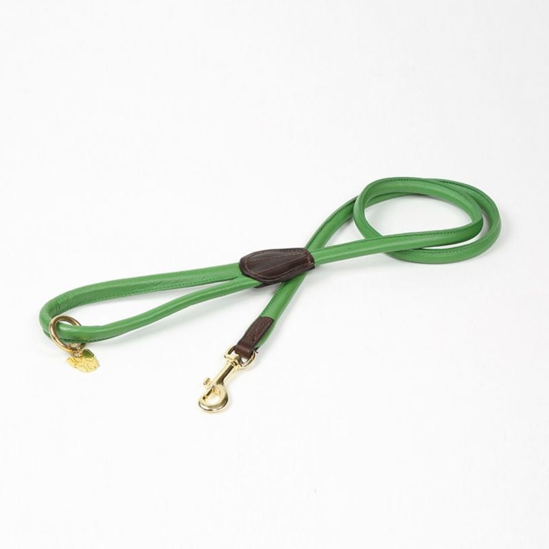 Shires Digby/Fox Rolled Leather Dog Lead