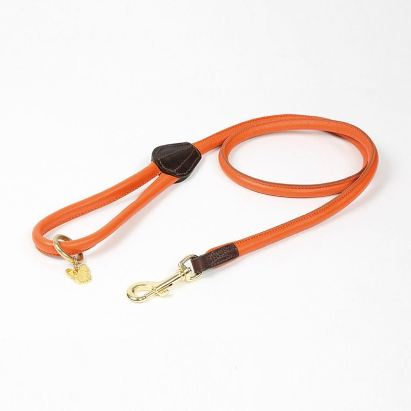 Shires Digby/Fox Rolled Leather Dog Lead