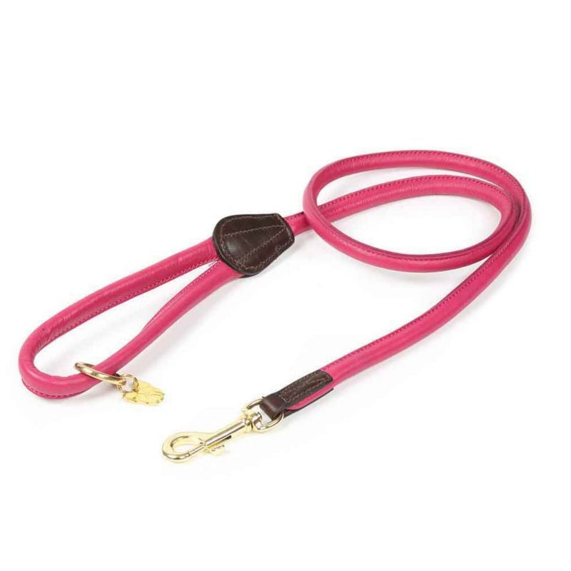 Shires Digby/Fox Rolled Leather Dog Lead
