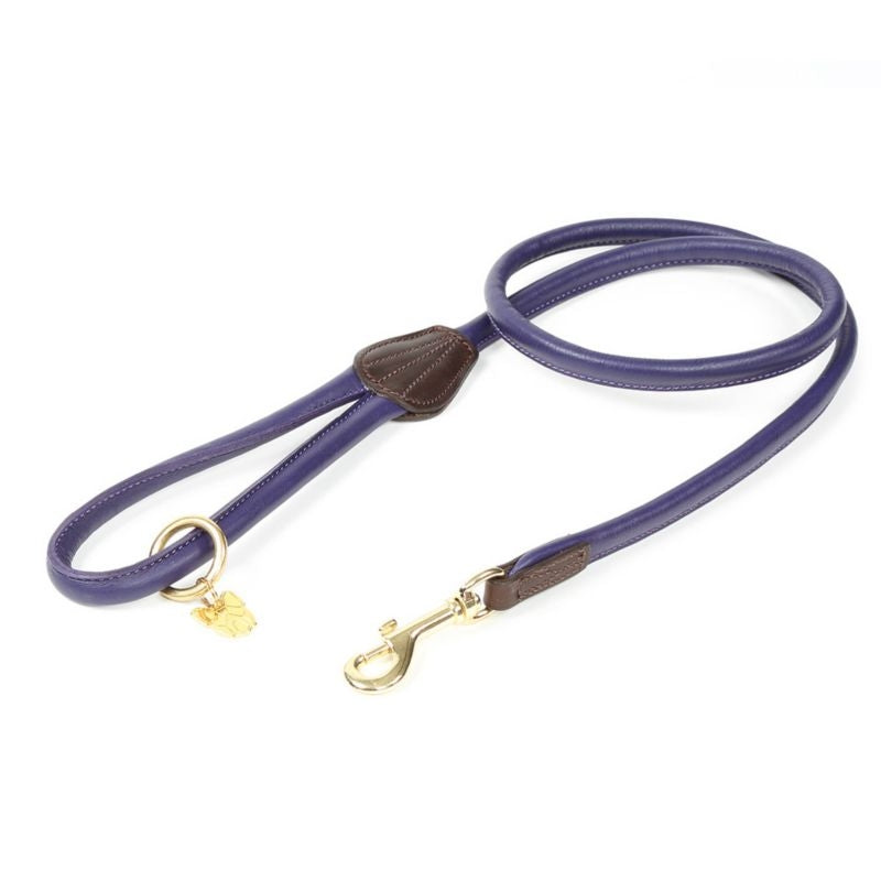 Shires Digby/Fox Rolled Leather Dog Lead
