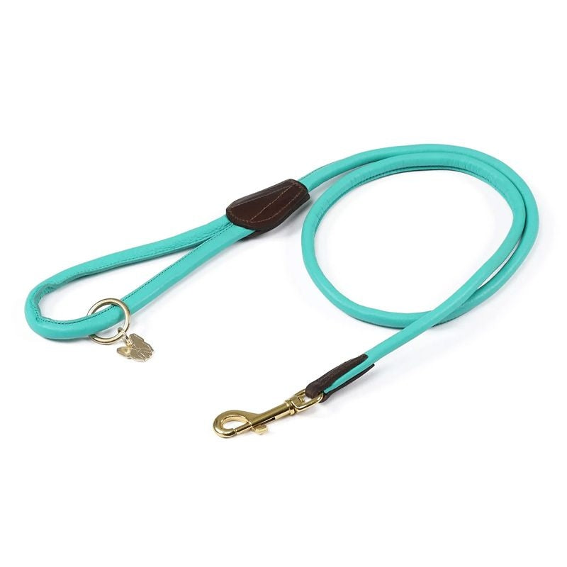 Shires Digby/Fox Rolled Leather Dog Lead