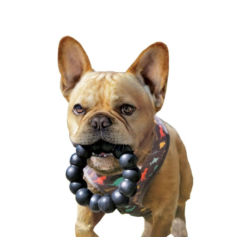 KONG Extreme Ring Dog Toy