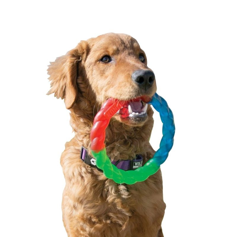 KONG Twistz Ring Dog Toy