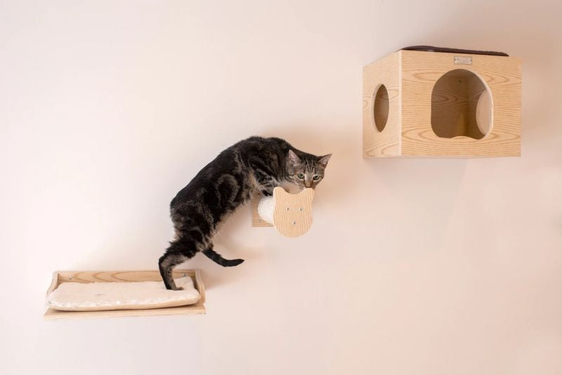 Armarkat Wall Series Cat Tree with Condo/Perches