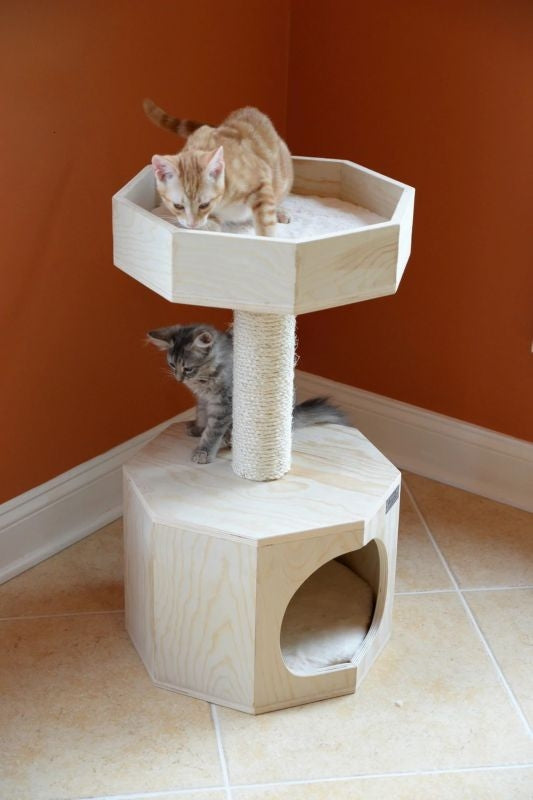 Armarkat Real Wood Scots Pine Cat Tree w Condo