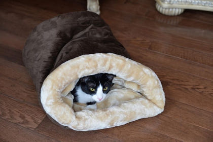 Armarkat Mocha Soft Cave Cat Bed