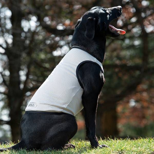Weaver Terrain D.O.G. Cooling Vest