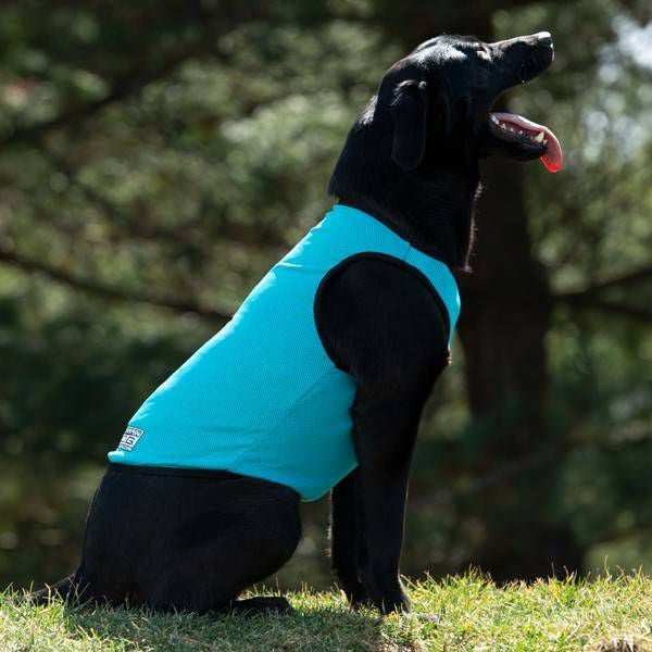 Weaver Terrain D.O.G. Cooling Vest