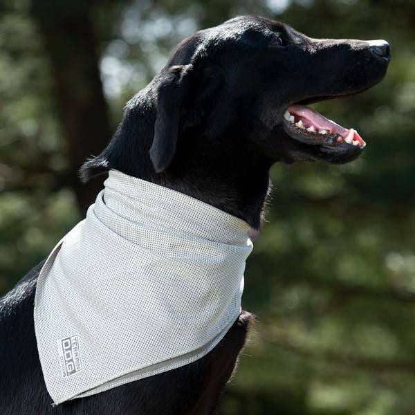 Weaver D.O.G. Cooling Bandana