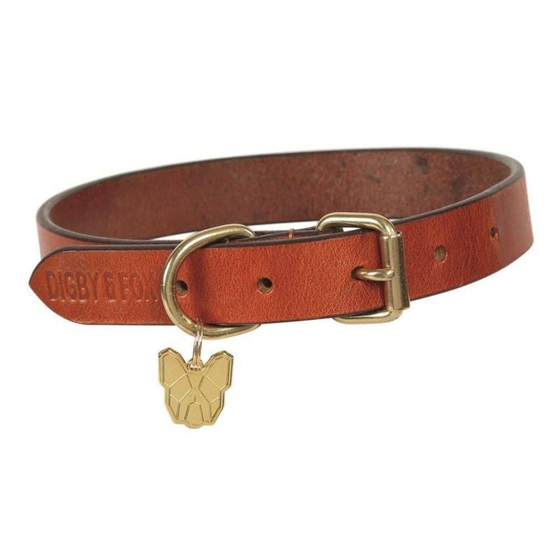 Shires Digby Fox Flat Dog Collar