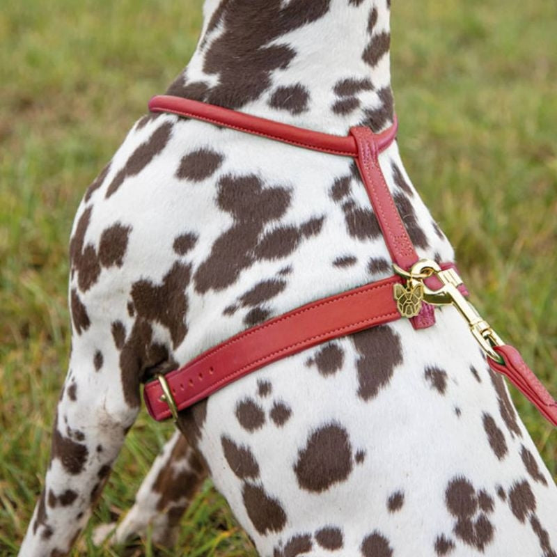 Shires Digby Rolled Leather Harness