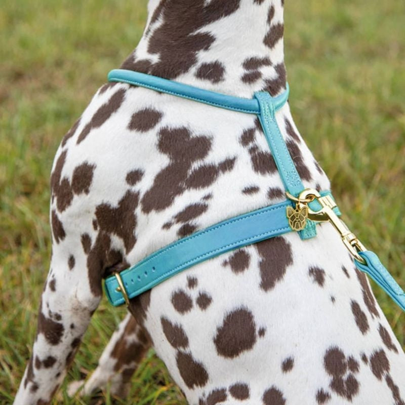 Shires Digby Rolled Leather Harness